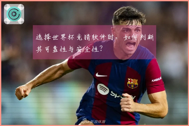 选择世界杯竞猜软件时,如何判断其可靠性与安全性?
