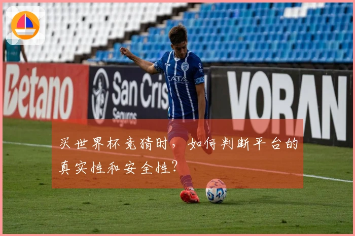 买世界杯竞猜时,如何判断平台的真实性和安全性?