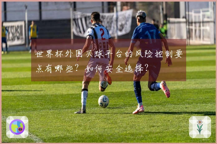 世界杯外围买球平台的风险控制要点有哪些?如何安全选择?