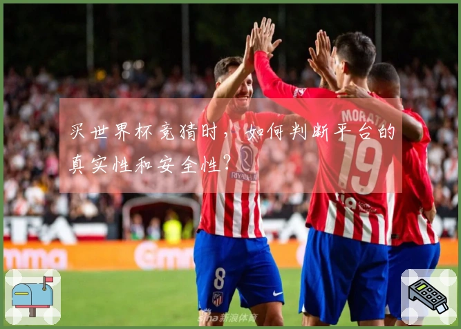 买世界杯竞猜时，如何判断平台的真实性和安全性？